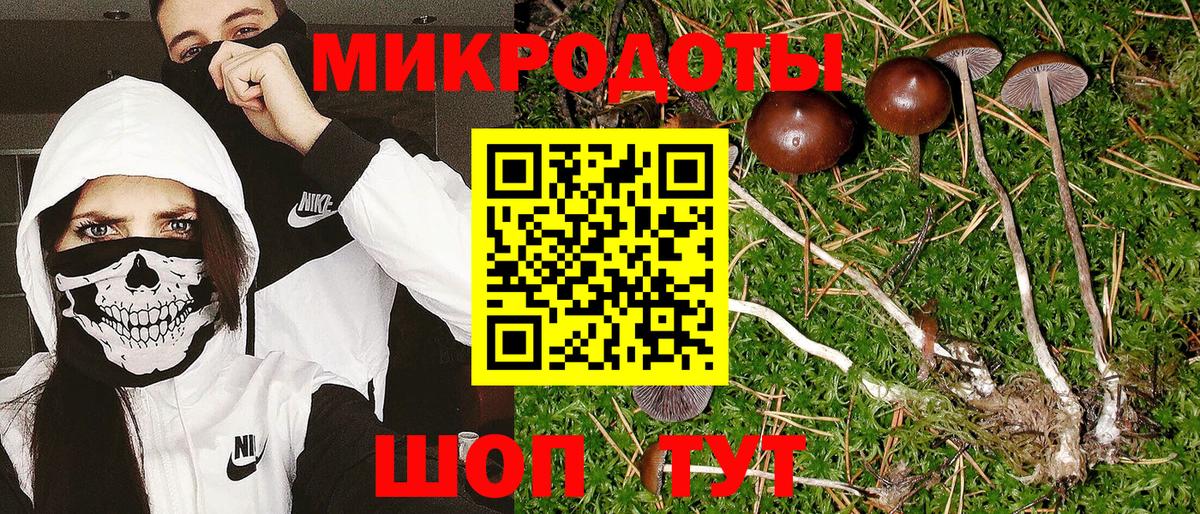 Галлюциногенные грибы мухоморы Рузаевка